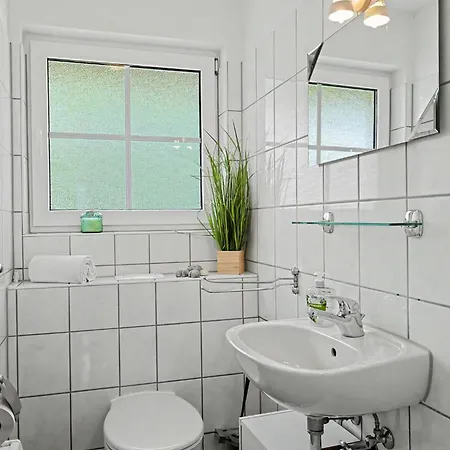 Schneider 2d By Interhome צינוביץ